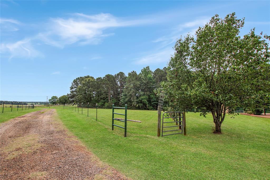 6233 Curtis Black Road Property Photo 37