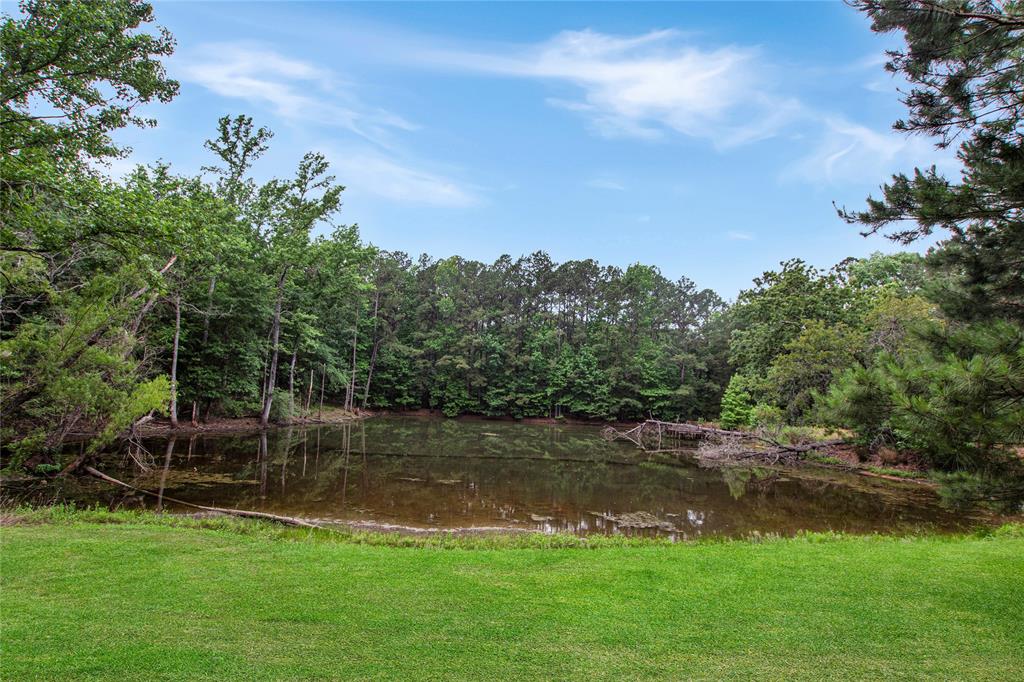 6233 Curtis Black Road Property Photo 38