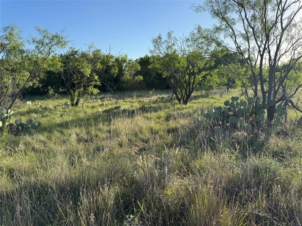 16007 I-20 Property Photo 11