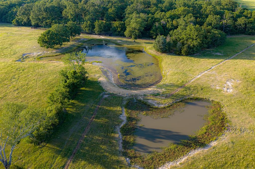 1423 Fm 1653 Property Photo 26