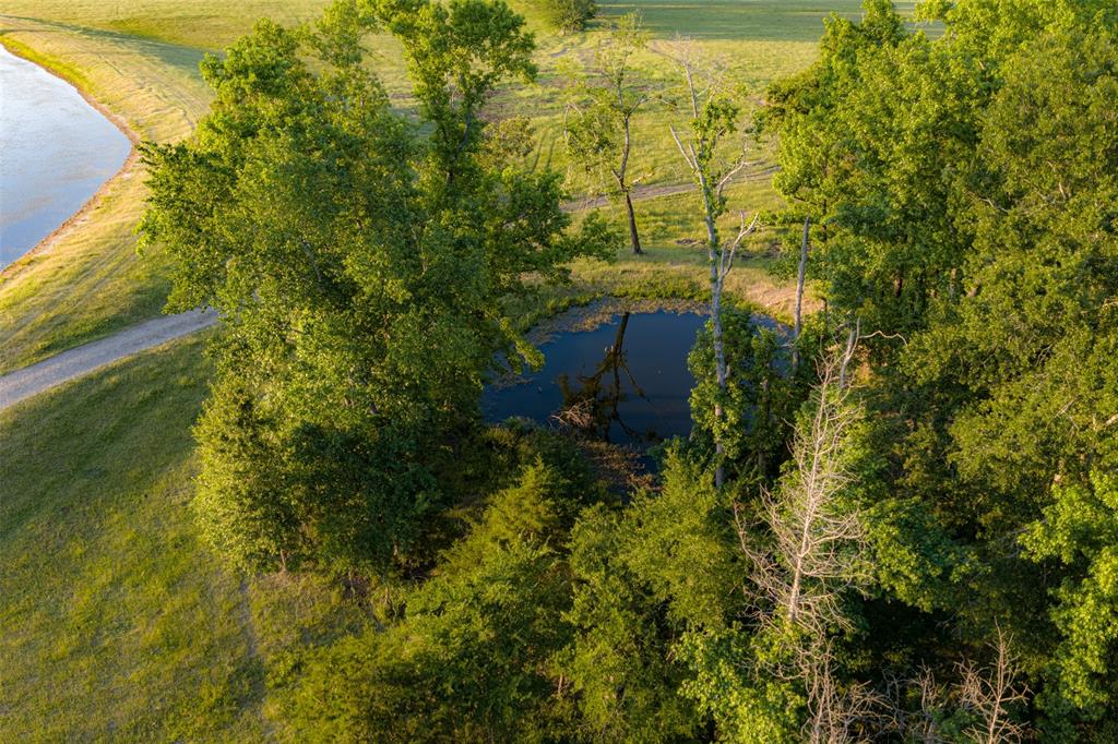 1423 Fm 1653 Property Photo 27