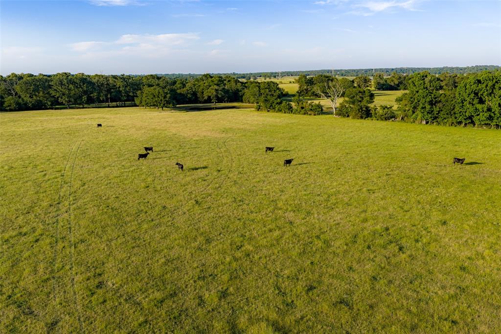 1423 Fm 1653 Property Photo 29