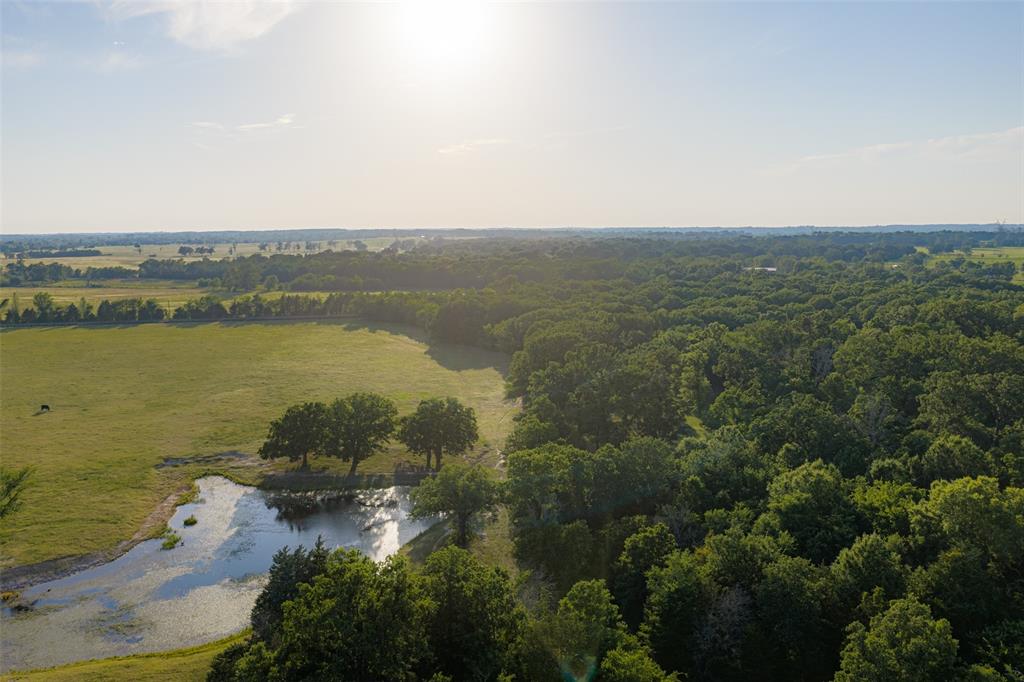 1423 Fm 1653 Property Photo 39