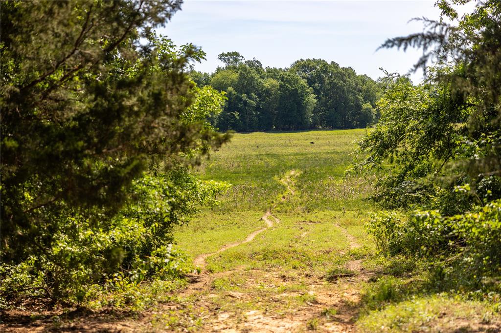13888 Fm 556 Property Photo 9