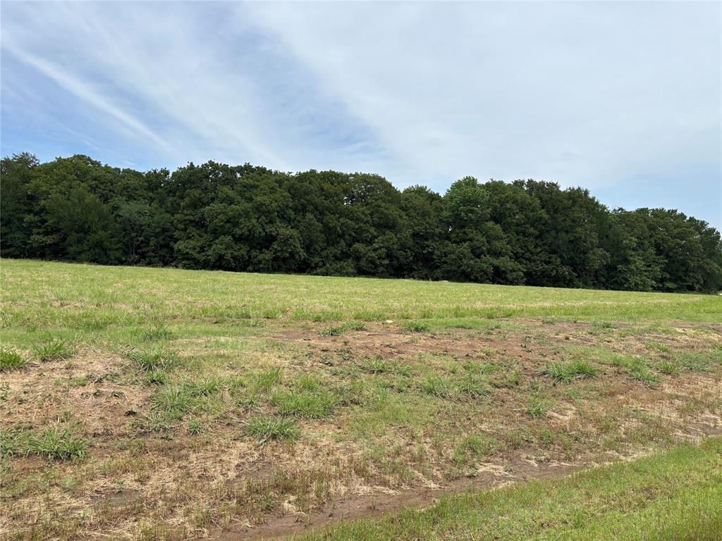 Lot 42 White Tail Way Road Property Photo 1
