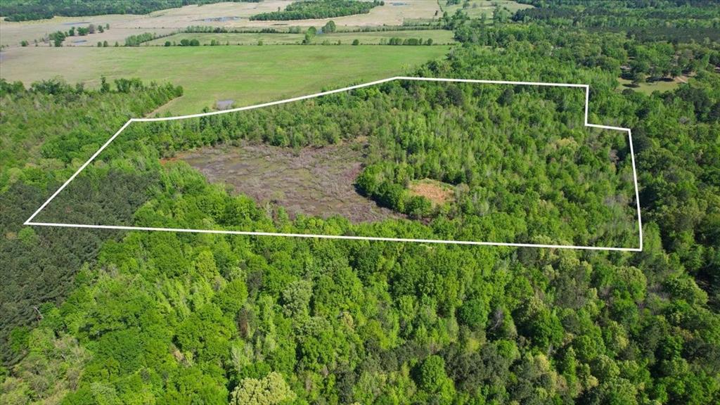 Tbd Cr 1143 Property Photo 1