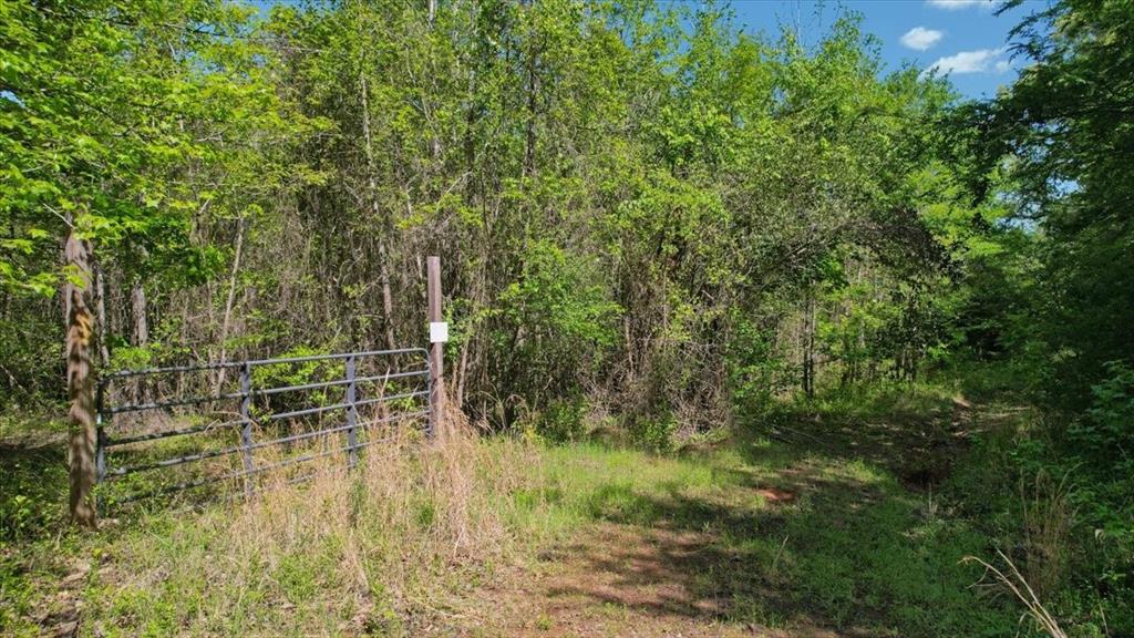 Tbd Cr 1143 Property Photo 7