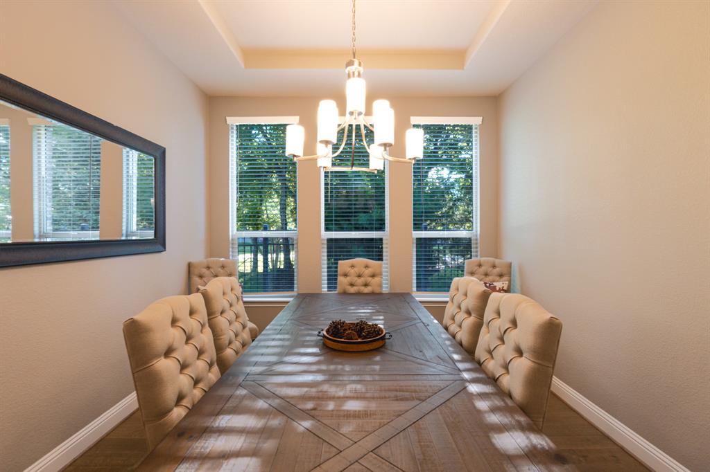 300 Dove Falls Drive Property Photo 12