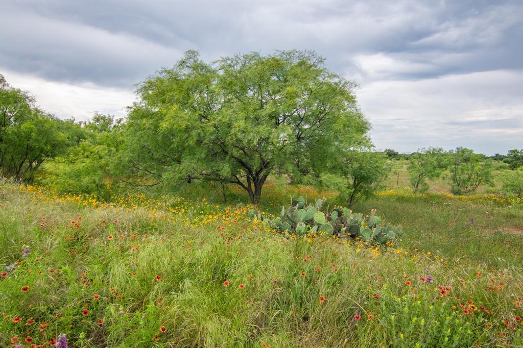 6187 Fm 586 Property Photo 29