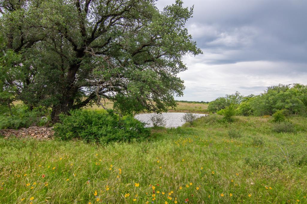 6187 Fm 586 Property Photo 30