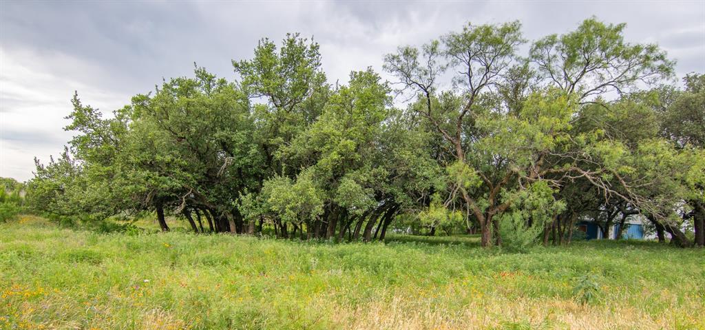 6187 Fm 586 Property Photo 33