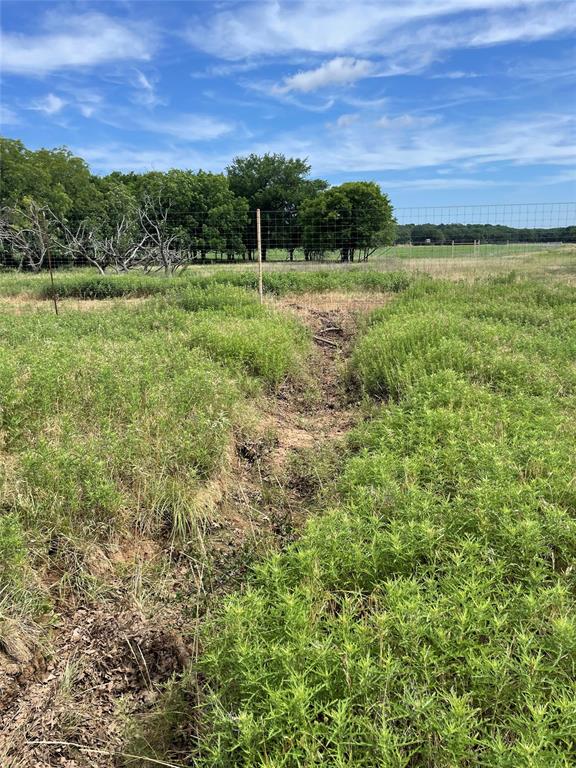31.09 Ac Hoefle Road Property Photo 10