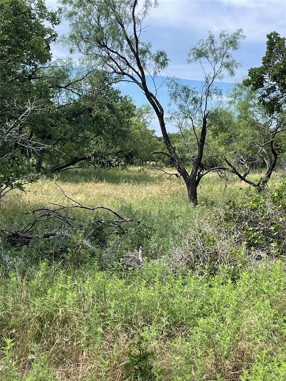 31.09 Ac Hoefle Road Property Photo 15
