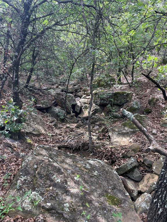 31.09 Ac Hoefle Road Property Photo 16
