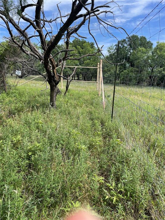 31.09 Ac Hoefle Road Property Photo 19