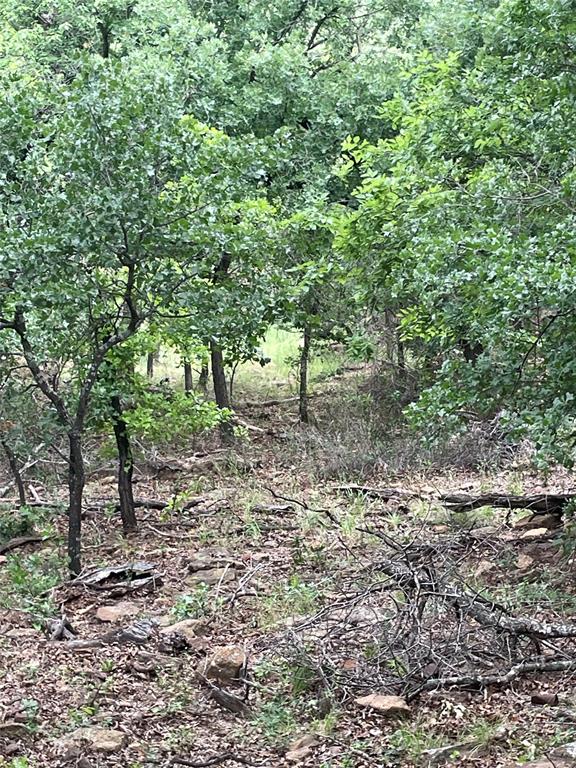 31.09 Ac Hoefle Road Property Photo 20