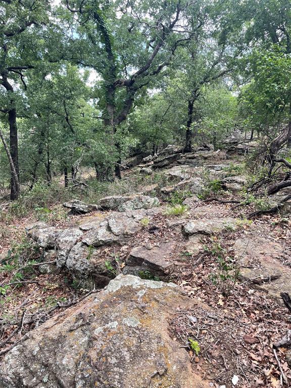 31.09 Ac Hoefle Road Property Photo 22