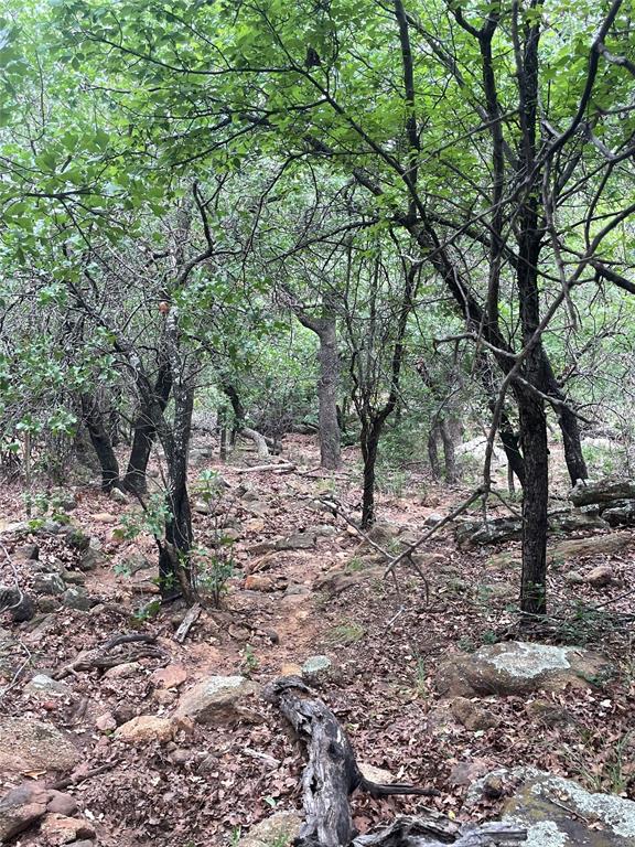 31.09 Ac Hoefle Road Property Photo 23