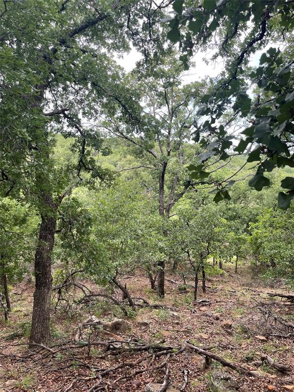 31.09 Ac Hoefle Road Property Photo 24