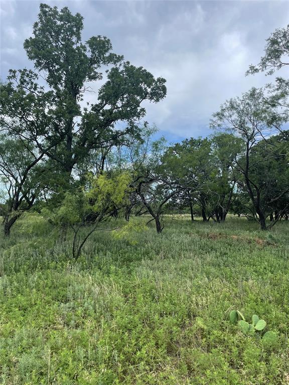 31.09 Ac Hoefle Road Property Photo 25