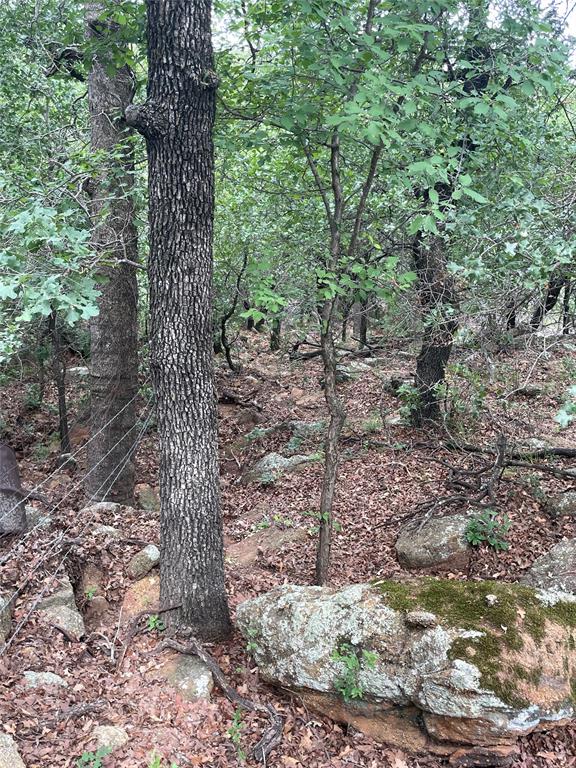 31.09 Ac Hoefle Road Property Photo 27