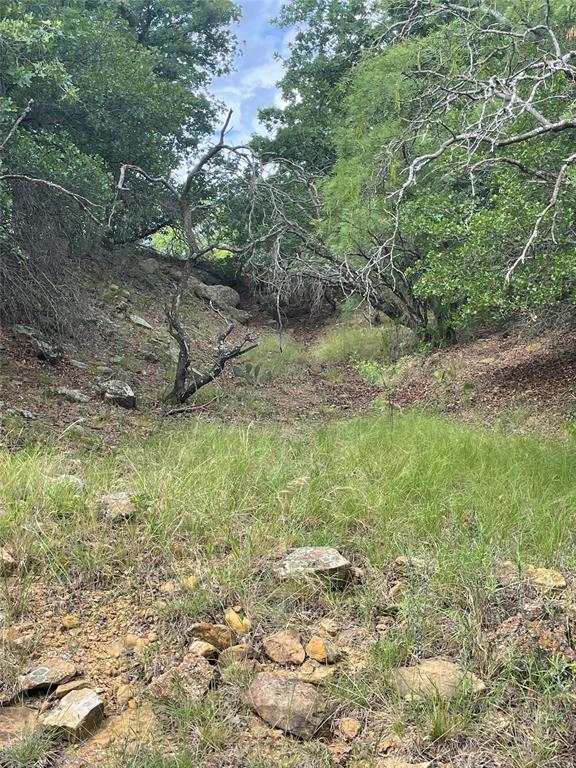 31.09 Ac Hoefle Road Property Photo 29