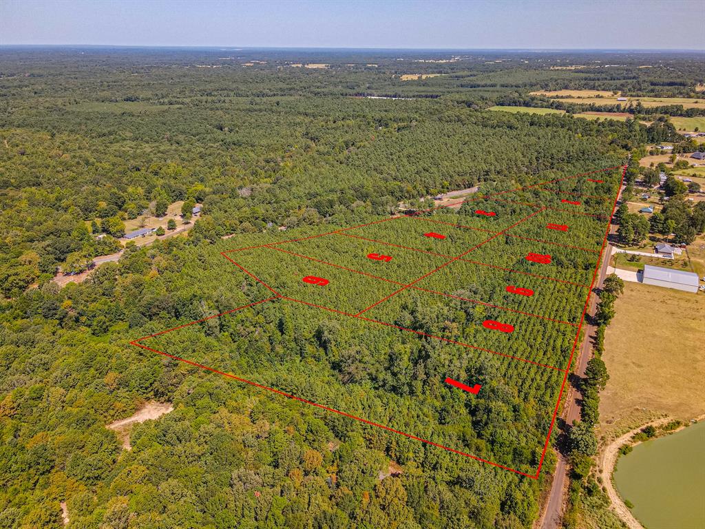Lot 4 Fm 556 Property Photo 6
