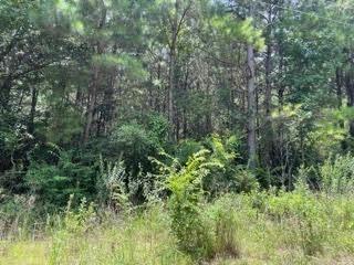 Lot 6 Fm 556 Property Photo 2