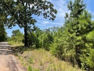 Lot 6 Fm 556 Property Photo 3