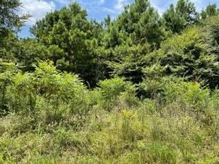 Lot 6 Fm 556 Property Photo 4