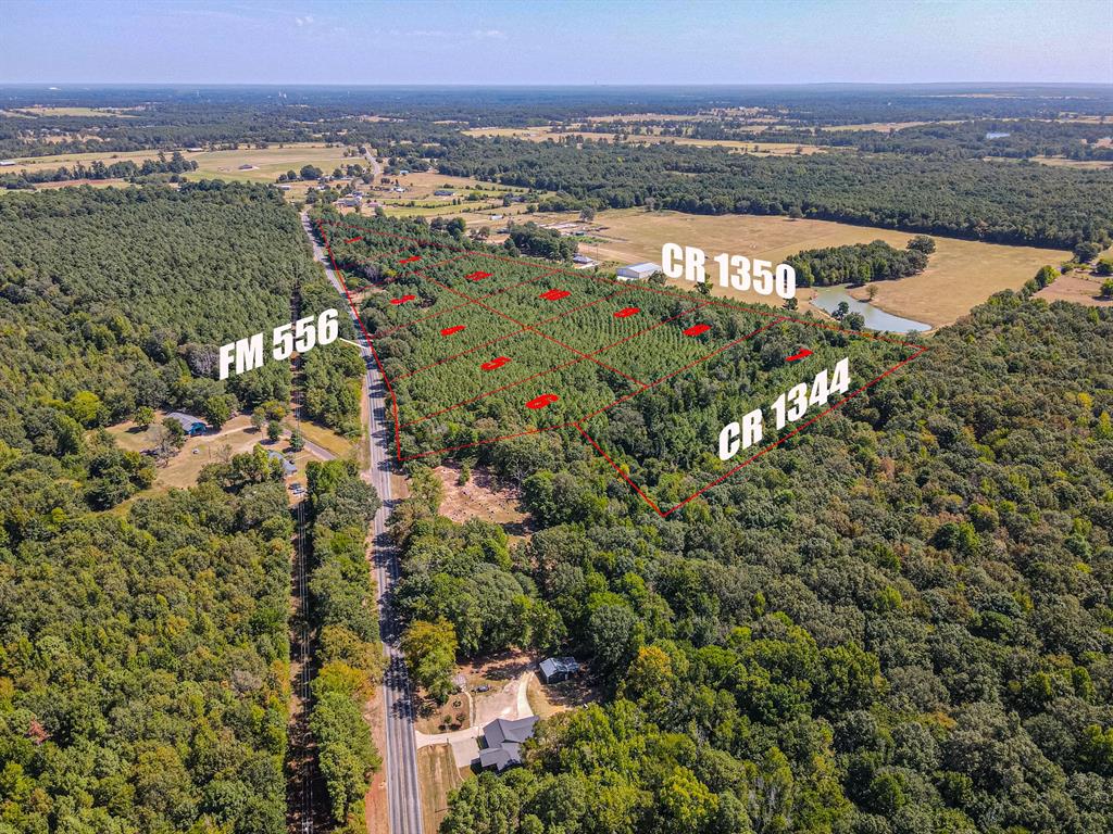 Lot 6 Fm 556 Property Photo 8