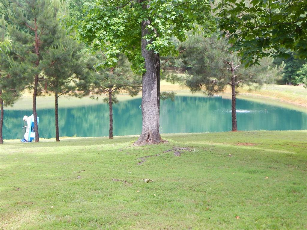 1106 Tall Timbers Property Photo 5