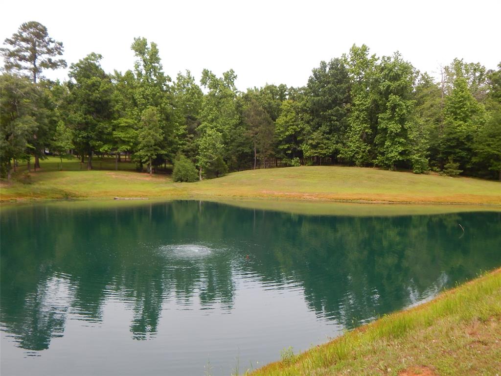 1106 Tall Timbers Property Photo 8