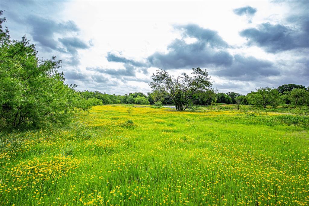 Tbd Gholson Rd Property Photo 1
