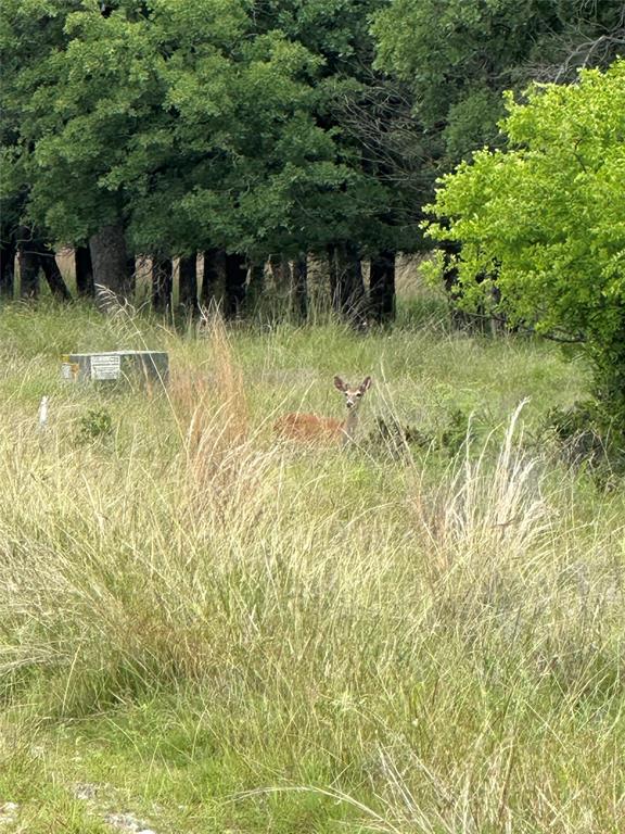 Lot 237 Vista Pointe Drive Property Photo 1