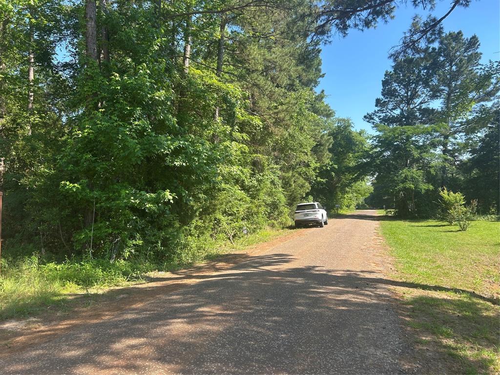 1210 San Saba Property Photo 1