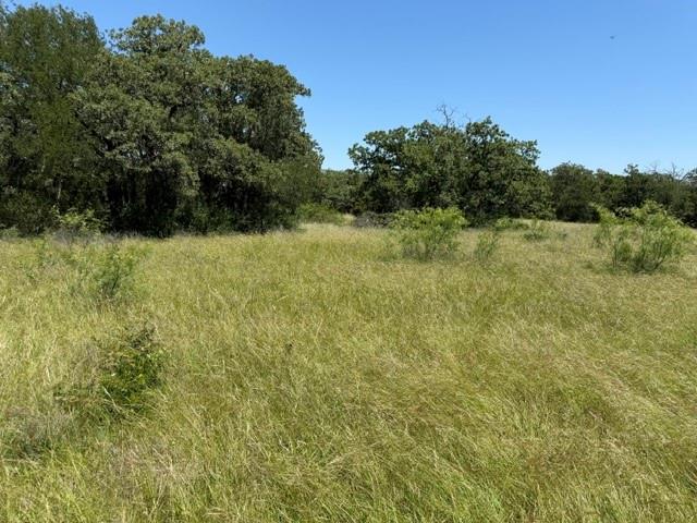 7523 County Road 163 Property Photo 9