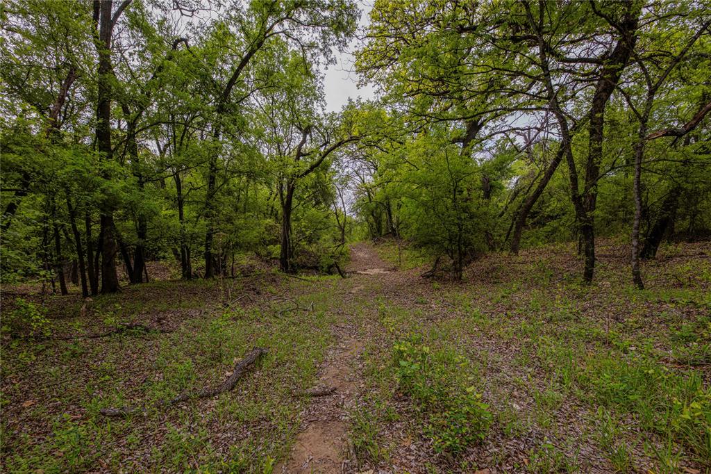 7523 County Road 163 Property Photo 15