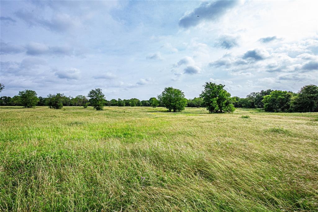 Tbd Gholson Road Property Photo 1