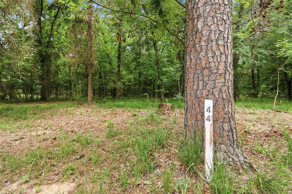 Lot 44 Sterling Shores Drive Property Photo 1
