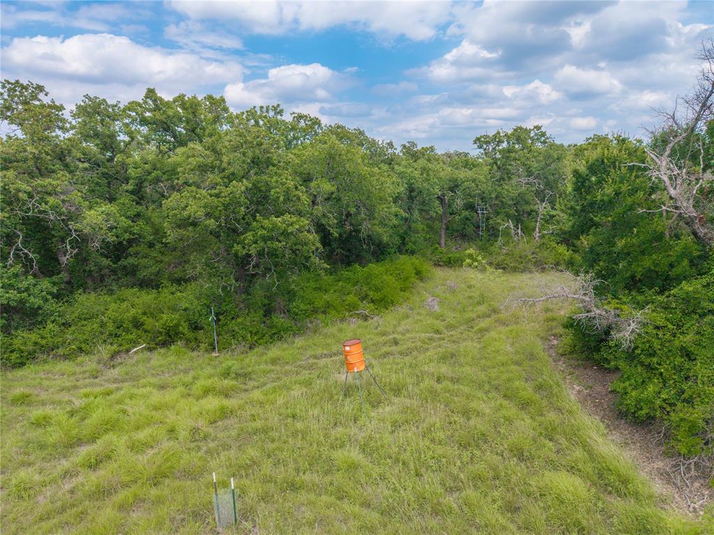 15500 County Road 417 Property Photo 35