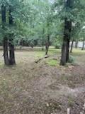 420 Post Oak Road Property Photo 19