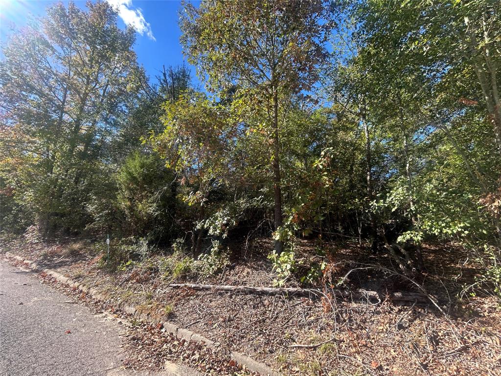 10 Bayshore Drive Property Photo 1