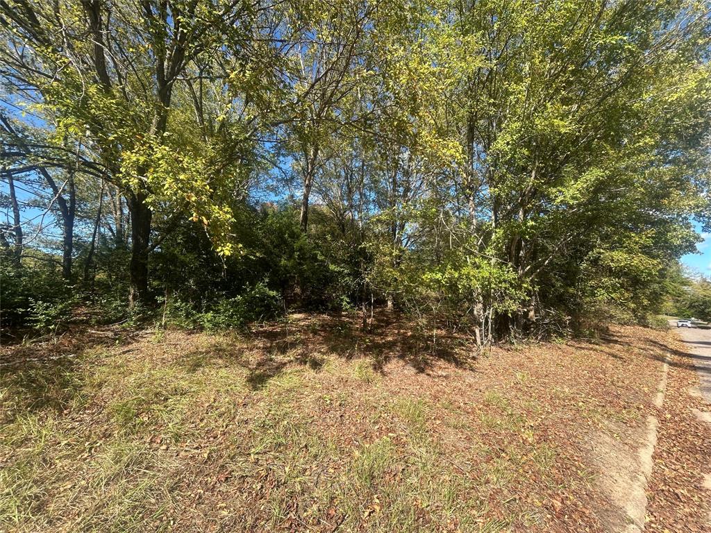 9 Bayshore Drive Property Photo 1