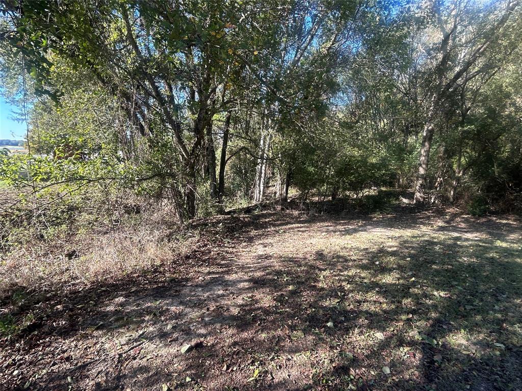 0 Lake Lane Property Photo 5