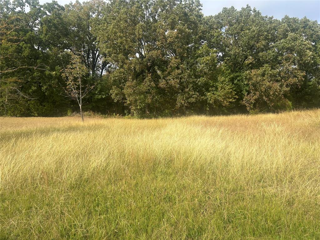 46 Kanakoa Drive Property Photo 1