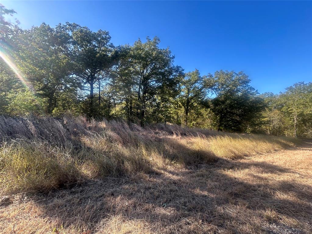 58 Point Lavista Property Photo 1
