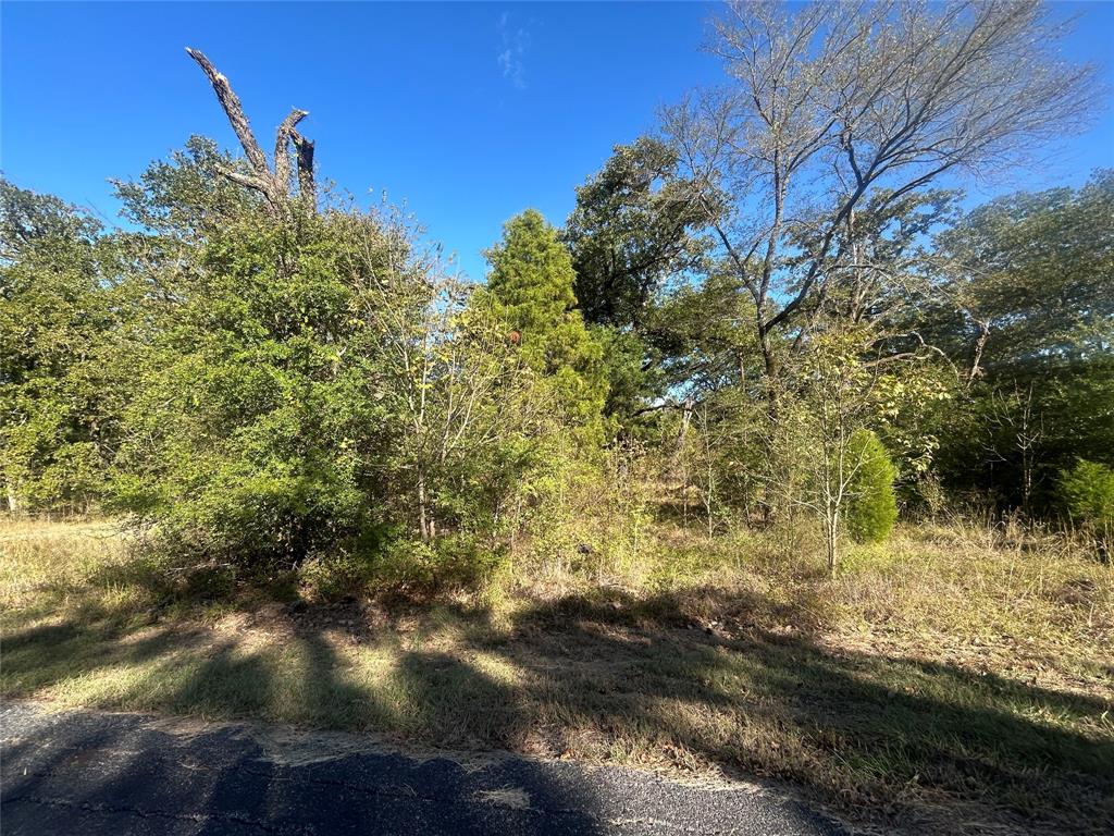 57 Point Lavista Property Photo 1