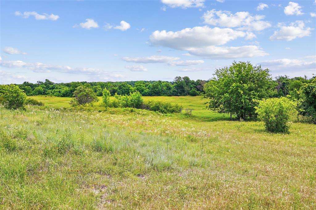Tbd School House Road Property Photo 15