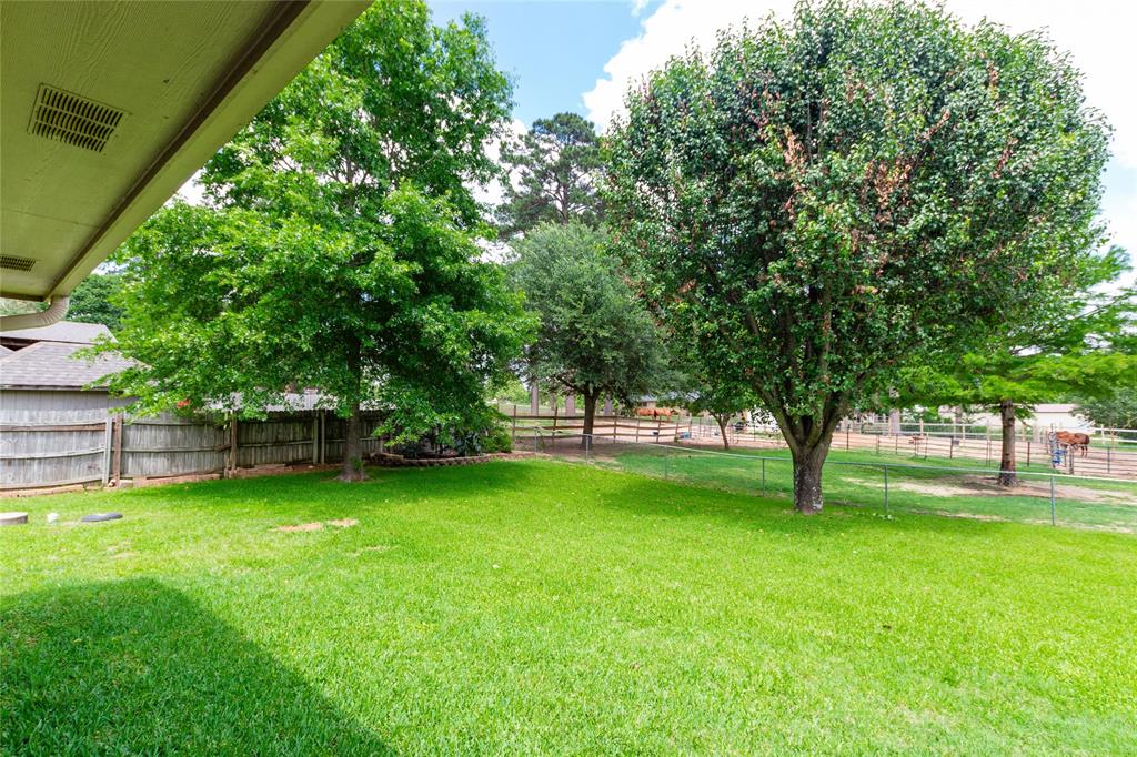 10775 County Road 214 Property Photo 27